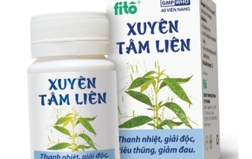 Xử phạt 120 triệu đồng đối với Công ty dược phẩm FitoPharma do vi phạm về đăng ký thuốc