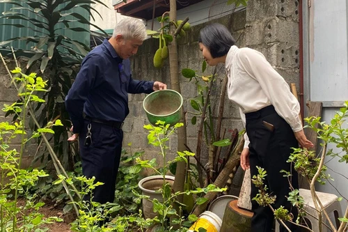 Hà Nội: Phát hiện chỉ số côn trùng ở ngưỡng nguy cơ cao tại các ổ dịch sốt xuất huyết