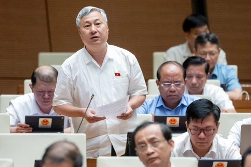 ĐBQH băn khoăn đề xuất áp thuế 5% với phân bón, lo nông dân bị thiệt