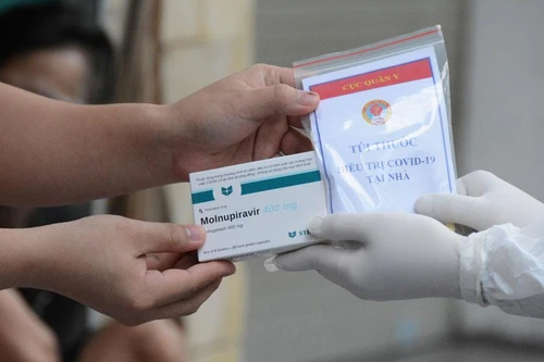 Người Hà Nội lùng mua thuốc Molnupiravir để tích trữ, Bộ Y tế yêu cầu xử lý