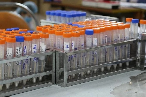 Thêm 14 ca nhiễm ở 4 quận huyện, Hà Nội ghi nhận 64 ca Covid-19 trong ngày