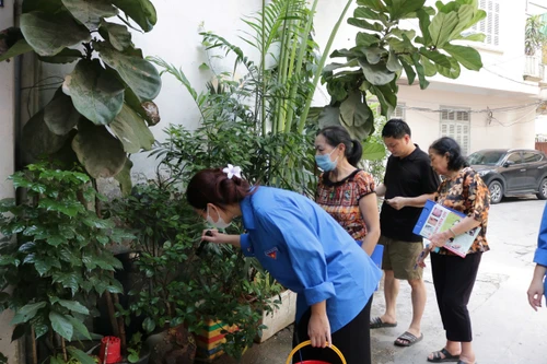 Số mắc sốt xuất huyết tại Hà Nội vượt mốc 500 ca/ tuần