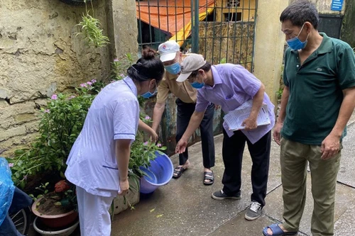 Bộ Y tế: El nino làm gia tăng sự lây truyền bệnh sốt xuất huyết, viêm não