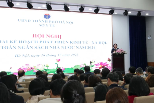 Năm 2024, Hà Nội phấn đấu giảm 0,15% tỷ lệ sinh con thứ ba trở lên so với 2023