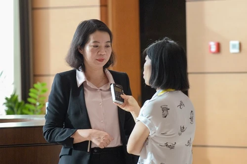 Đại biểu Quốc hội đề nghị sửa Nghị định 64 gỡ vướng cho người kêu gọi cứu trợ thiên tai