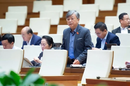 ĐBQH: Nhiều tờ báo của Hà Nội và TP HCM là vốn quý của địa phương, nên được tạo điều kiện