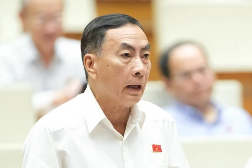 ĐBQH đề nghị bỏ giá sàn với vé máy bay, đưa điện vào danh mục hàng bình ổn giá