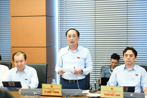 ĐBQH đề xuất chuyển cơ quan quyết định nguyên tắc dẫn độ từ Bộ Ngoại giao sang Bộ Công an