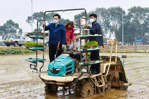 Bí thư, Chủ tịch Hà Nội cùng xuống đồng, đứng máy cấy lúa động viên bà con nông dân