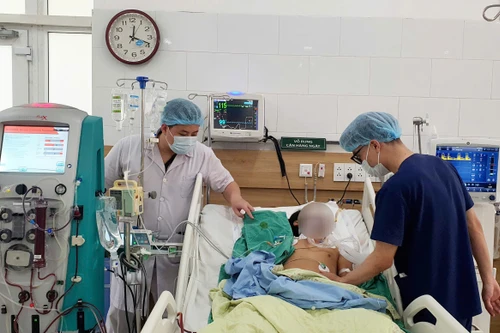 Hai vợ chồng trẻ hôn mê sâu, nguy kịch do ăn nấm rừng