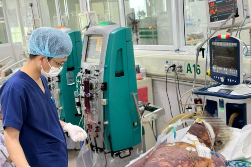 Một người làm nghề giết mổ lợn nhập viện, nguy kịch vì liên cầu khuẩn