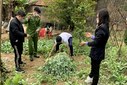Kiểm soát nhập khẩu thuốc Spravato và hạt cây có chứa chất ma túy để tránh lợi dụng