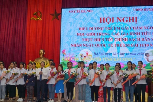 Hà Nội: Biểu dương 100 trẻ em gái tiêu biểu trong các gia đình sinh con một bề