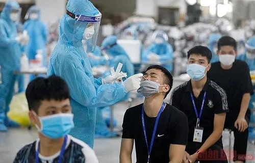 Thêm 1.196 ca Covid-19 trưa 14-7, riêng TP HCM có 971 ca