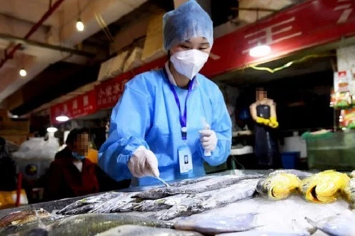 Mới: Thực phẩm nhập khẩu từ các nước có dịch Covid-19 phải xét nghiệm SARS-CoV-2