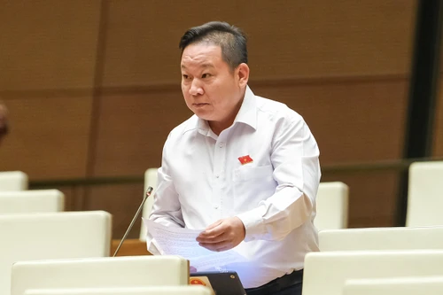 ĐBQH bày tỏ lo ngại khi ngày càng có thêm những “dòng sông chết”