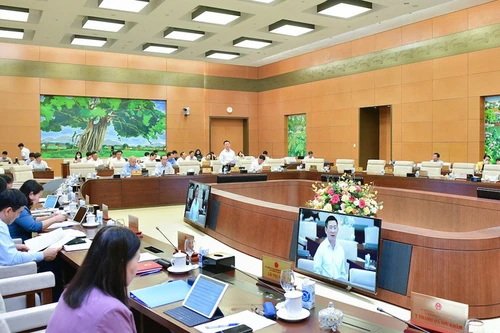 Trên 1.200 công chức, viên chức bị thu hồi quyết định tuyển dụng, bổ nhiệm 