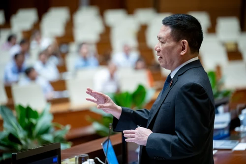 Bộ trưởng Hồ Đức Phớc: Tổ chức, cá nhân nhập khẩu cổ vật để kinh doanh phải chịu thuế