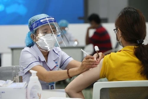 Hà Nội phân bổ 252.000 liều vaccine Pfizer, tiêm mũi 1 cho người trên 50 tuổi và thai phụ