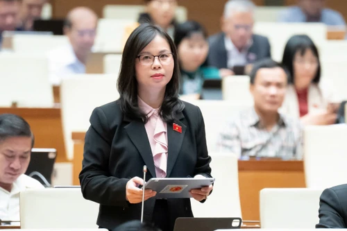 Nhiều đại biểu Quốc hội băn khoăn, lo lắng khi liên tiếp xảy ra mưa lũ, ngập lụt kỷ lục