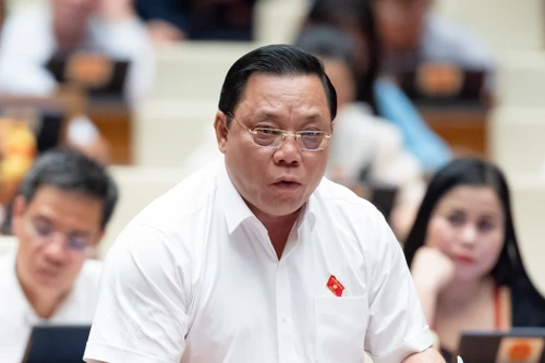 'Sở hữu chéo, thao túng lợi ích nhóm trong lĩnh vực ngân hàng vẫn đáng lo ngại'