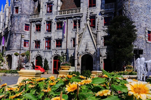 Chỉ đến Sun World Ba Na Hills mùa xuân, bạn mới được thấy những loại hoa độc đáo này