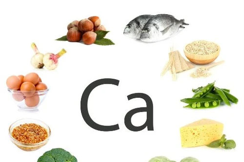 Canxi điều chỉnh sự phát triển xương