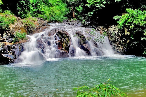 Lên đỉnh rừng Bidoup