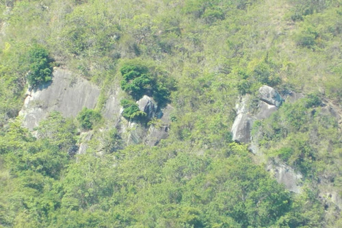 Bí ẩn hòn đá mặt quỷ và cây đa thần che chở cho làng