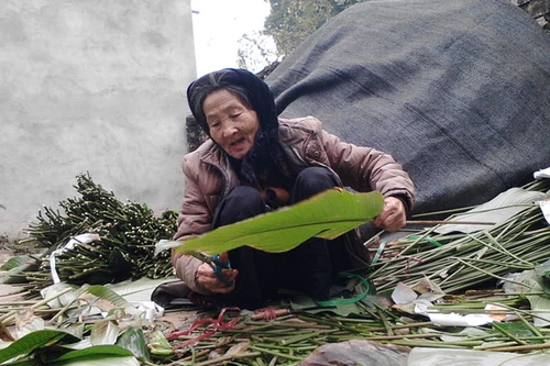 Làng lá dong nhường đất cho cam Canh