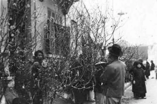 Nhớ Tết xưa ngậm ngùi...