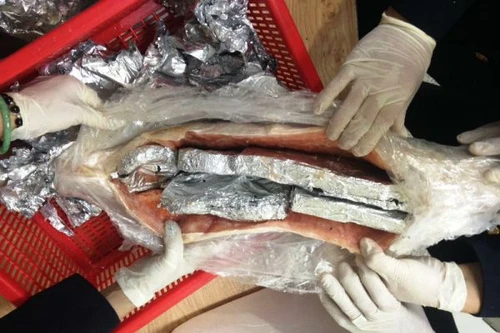 Thủ đoạn tinh vi: Cất giấu sản phẩm nghi ngà voi Châu Phi trong... bụng cá hồi