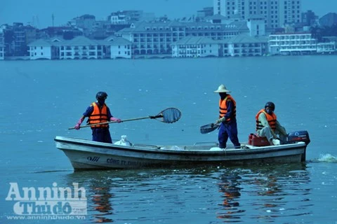 Lấy mẫu xét nghiệm làm rõ nguyên nhân cá chết hàng loạt ở hồ Tây