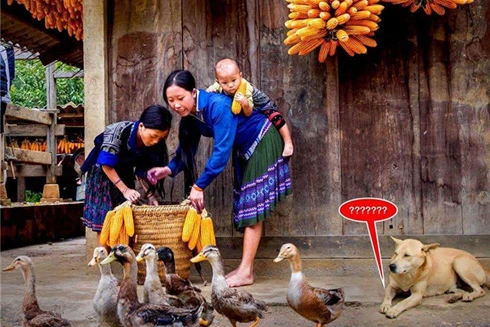 "Ảnh cắt ghép rất tinh vi, chỉ biết tin vào tác giả"