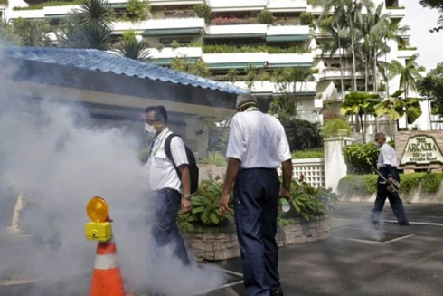 Virus Zika chủng châu Á đang hoành hành