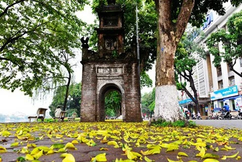 Một nét thu
