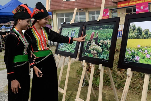 Thi ảnh về Làng Văn hóa các dân tộc Việt Nam