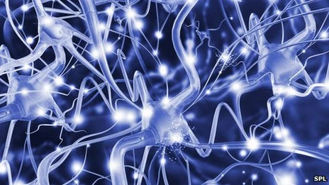 Béo phì, thuốc tránh thai có liên quan tới bệnh đa xơ cứng