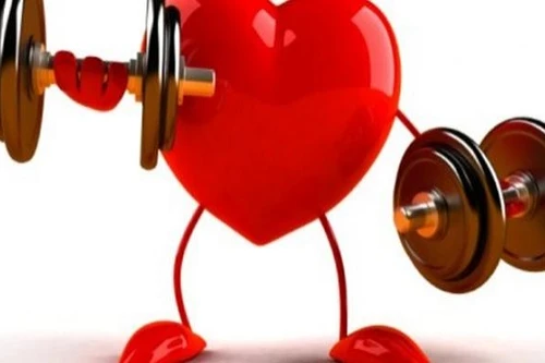Bí quyết giữ trái tim khỏe mạnh