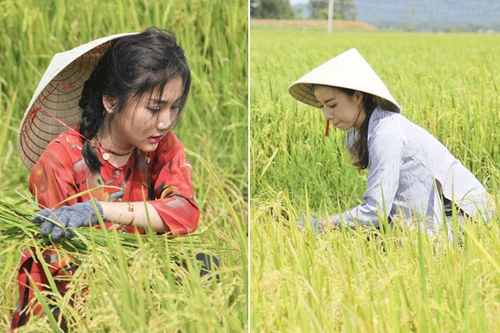Project Runway Vietnam 2015: NTK Hải Yến "hoá thân" thôn nữ trên cánh đồng