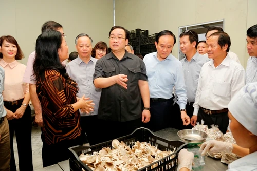 Huyện Thanh Trì xin cơ chế để phấn đấu lên quận vào năm 2020