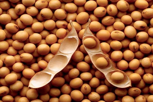 Nam giới trung niên nên ăn rau gì cho khoẻ?