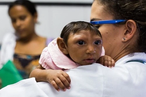 Mỹ ngừng hiến máu tại Florida vì lo ngại Zika