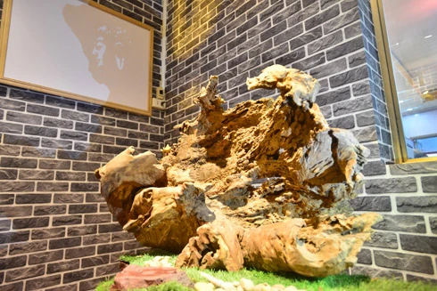 Điêu khắc "ánh sáng" trên gỗ lũa