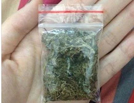 Đang trên đường đi bán cần sa thì bị tổ 141 phát hiện