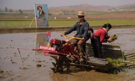 Triều Tiên vẫn chưa chịu đàm phán dù khủng hoảng lương thực 