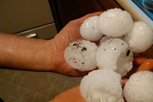 [Video] Trận mưa đá to bằng quả bóng tennis ‘vùi dập’ miền Bắc nước Ý