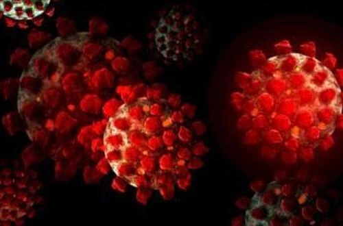 Virus SARS-CoV-2 đe doạ não bộ như thế nào?