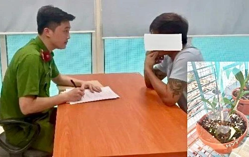 Vụ nhiều cá nhân “tố” bị lừa tiền tỷ ở Ứng Hòa, Hà Nội: Chủ vườn lan không bỏ trốn!