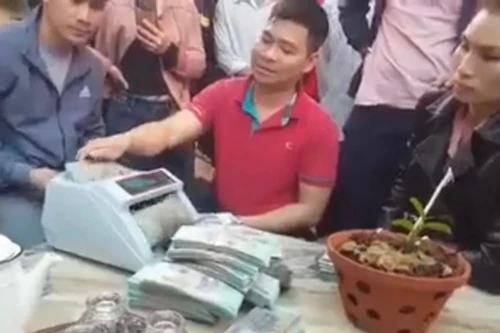 Xôn xao clip chuyển nhượng cây hoa lan đột biến 1,65 tỷ đồng ở Nghệ An